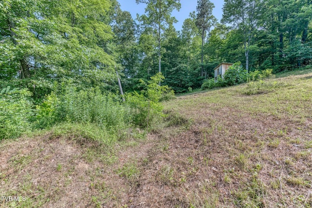 292 Peters Rd, Bristol, TN 37620 - photo 26