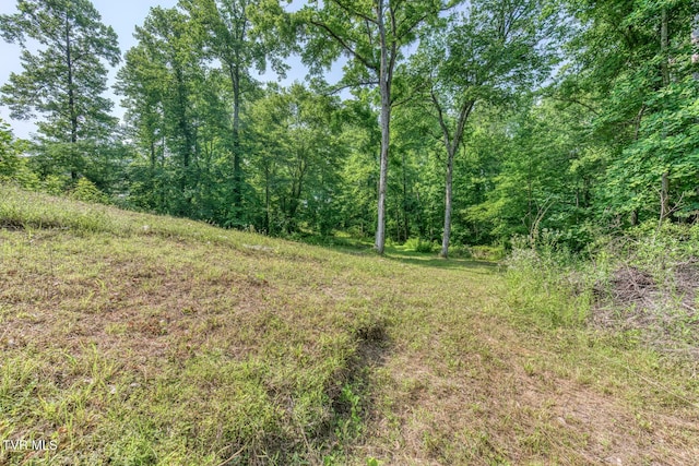 292 Peters Rd, Bristol, TN 37620 - photo 27