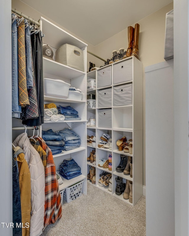 695 Opie Arnold Rd, Limestone, TN 37681 - walk in closet with carpet floors
