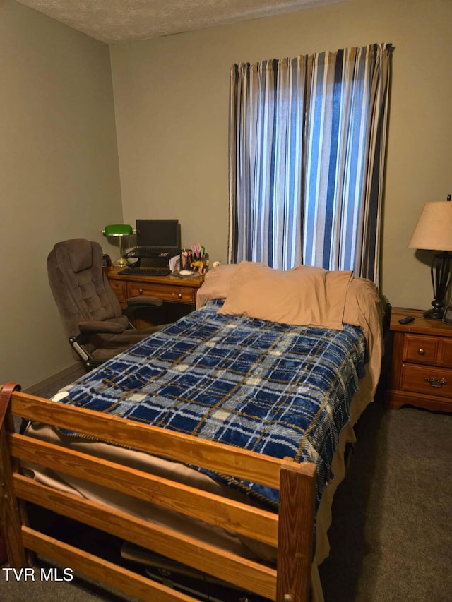 3504 James Phillips Way, Sevierville, TN 37876 - view of carpeted bedroom