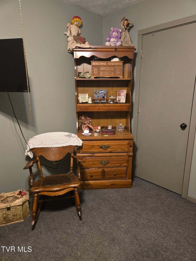 3504 James Phillips Way, Sevierville, TN 37876 - living area featuring carpet floors and a textured ceiling