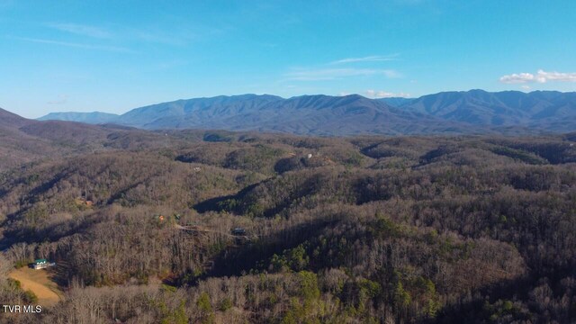 3504 James Phillips Way, Sevierville, TN 37876 - view of mountain background with a heavily wooded area