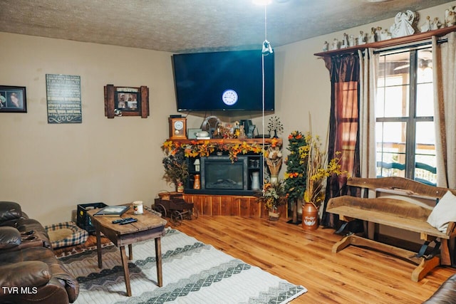 3504 James Phillips Way, Sevierville, TN 37876 - living room with wood finished floors, a glass covered fireplace, and a textured ceiling