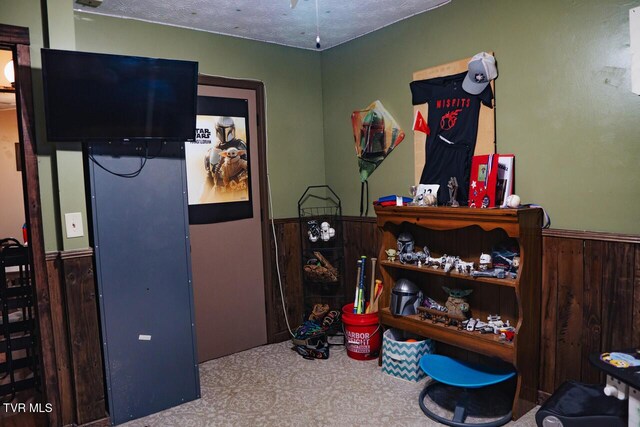 3504 James Phillips Way, Sevierville, TN 37876 - bedroom featuring a wainscoted wall and wooden walls