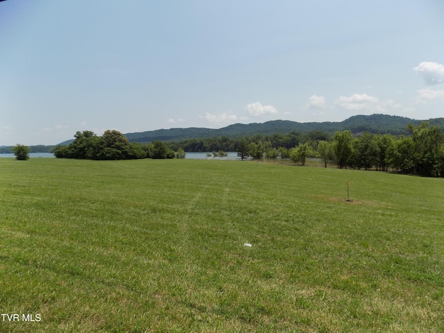 Tbd Highway 11w, Bean Station, TN 37708