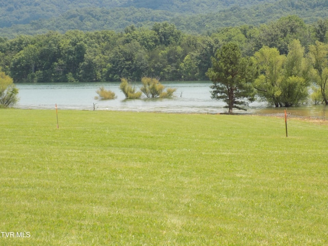 Tbd Highway 11w, Bean Station, TN 37708