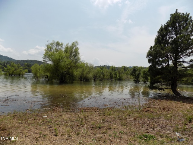 Tbd Highway 11w, Bean Station, TN 37708