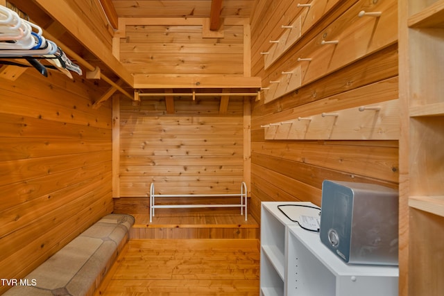 289 Harbor View Rd, Butler, TN 37640 - walk in closet with light wood-style flooring