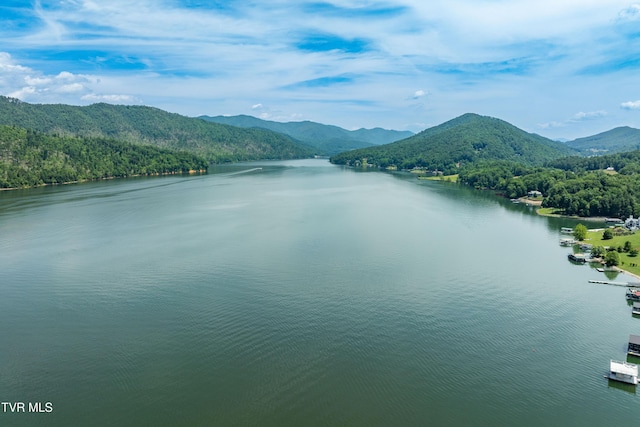 289 Harbor View Rd, Butler, TN 37640 - water view featuring a mountainous background and a heavily wooded area