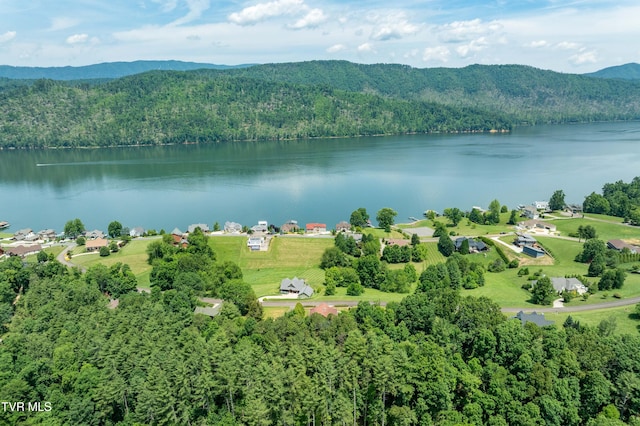289 Harbor View Rd, Butler, TN 37640 - drone / aerial view of a water and mountain view and a forest