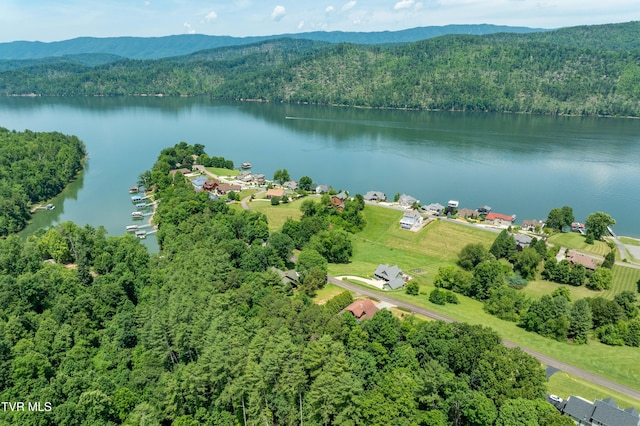 289 Harbor View Rd, Butler, TN 37640 - view of property location with a water and mountain view and a heavily wooded area