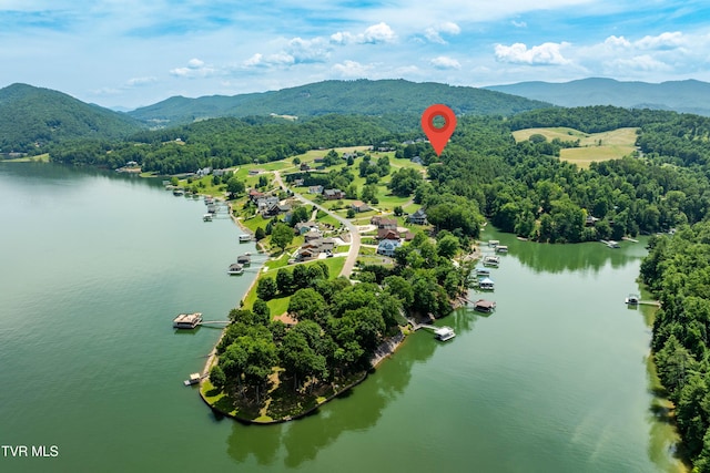 289 Harbor View Rd, Butler, TN 37640 - bird's eye view of a water and mountain view and a forest