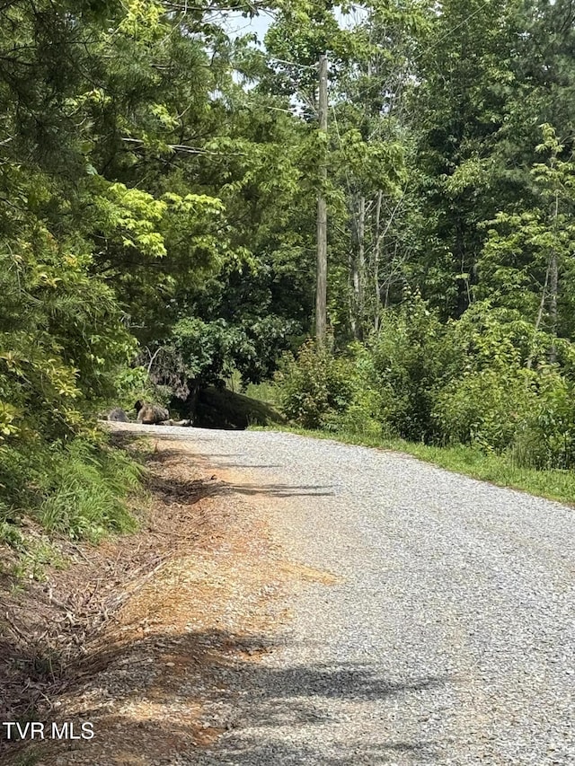 3516 James Phillips Way, Sevierville, TN 37876 - view of street with a forest view