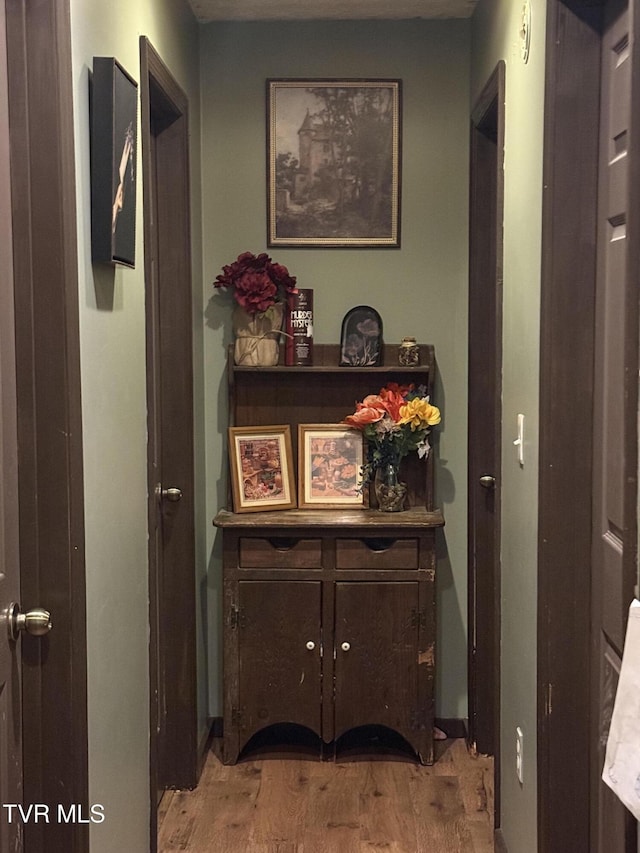 3516 James Phillips Way, Sevierville, TN 37876 - hallway featuring light wood-style floors