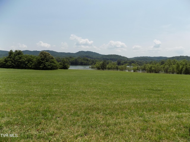 Tbd Highway 11w, Bean Station, TN 37708