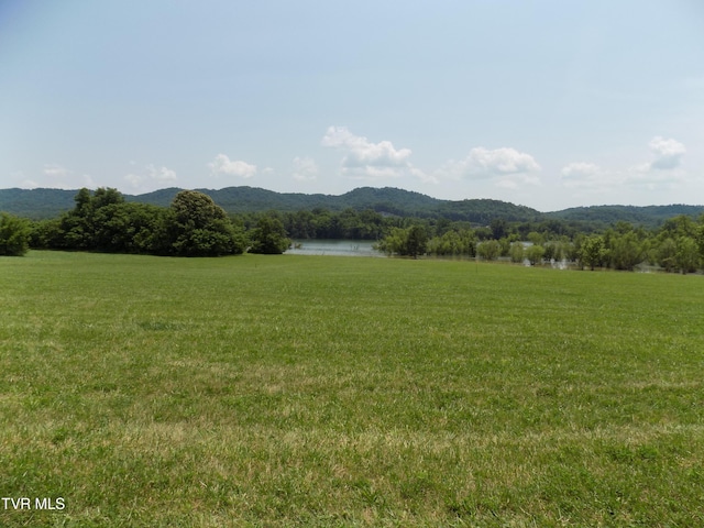 Tbd Highway 11w, Bean Station, TN 37708