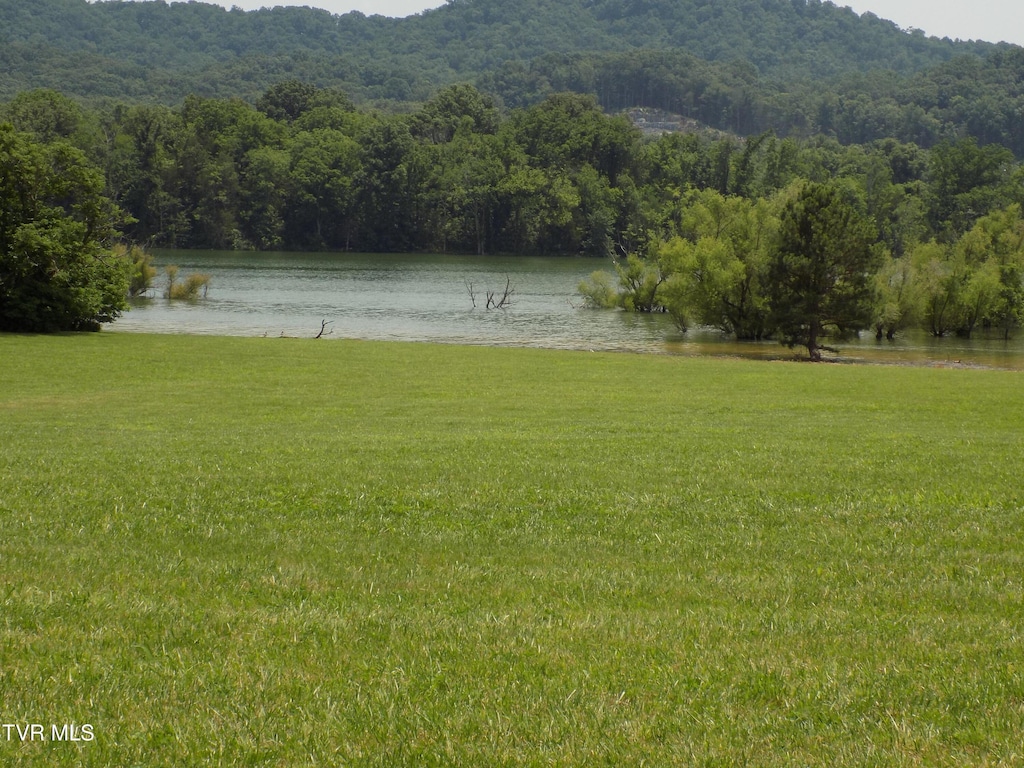 Tbd Highway 11w, Bean Station, TN 37708