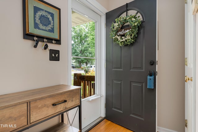 149 Cochran Rd, Jonesborough, TN 37659 - foyer entrance featuring light wood-type flooring