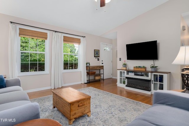 149 Cochran Rd, Jonesborough, TN 37659 - living room featuring lofted ceiling, plenty of natural light, wood finished floors, and a ceiling fan