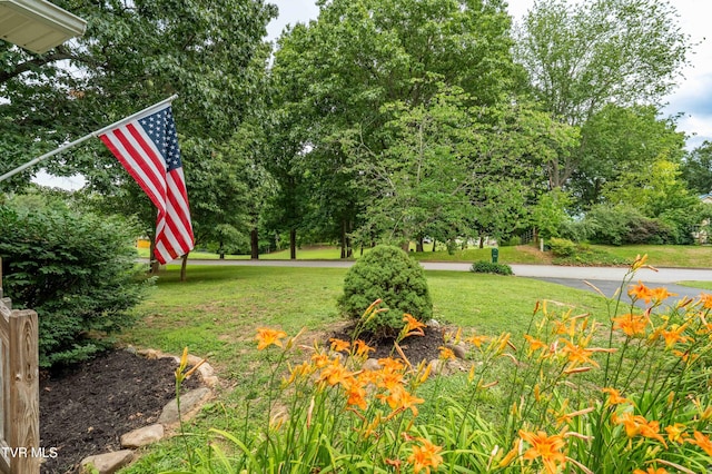 149 Cochran Rd, Jonesborough, TN 37659 - view of grassy yard