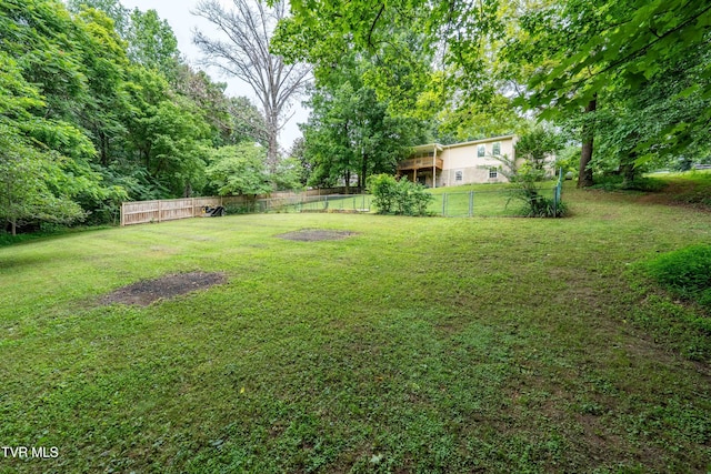 149 Cochran Rd, Jonesborough, TN 37659 - view of yard
