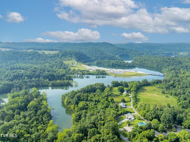 1826 Loop Rd, Lafollette, TN 37766 - drone / aerial view of a forest and a large body of water