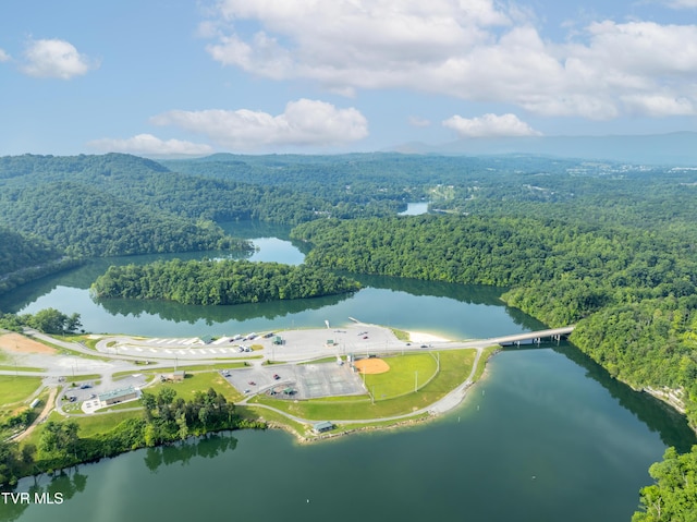 1826 Loop Rd, Lafollette, TN 37766 - view of property location featuring a forest and a water and mountain view