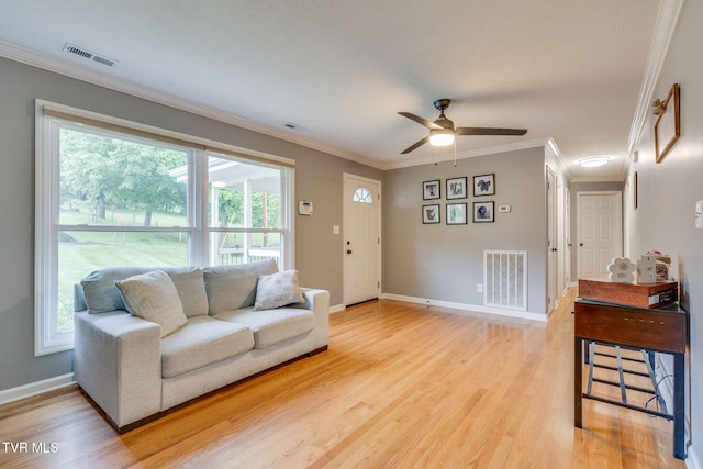 1933 Sand St, Kingsport, TN 37660 - living area featuring light wood-type flooring, ceiling fan, and crown molding