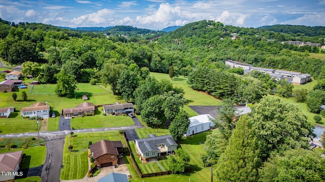 1933 Sand St, Kingsport, TN 37660 - aerial view of a heavily wooded area
