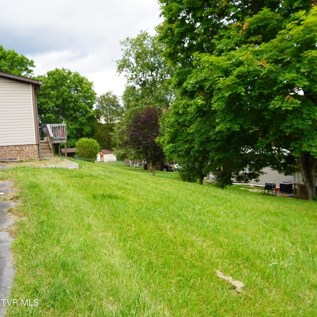 206 Hialeah Dr, Kingsport, TN 37660 - view of grassy yard