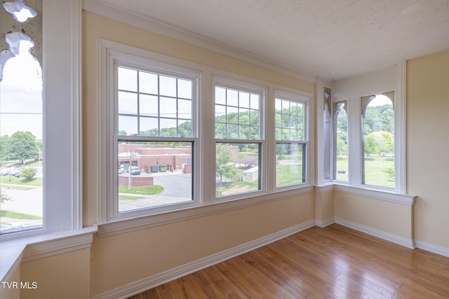 701 W Locust St Unit 34, Johnson City, TN 37604 - unfurnished sunroom with wood finished floors and a textured ceiling