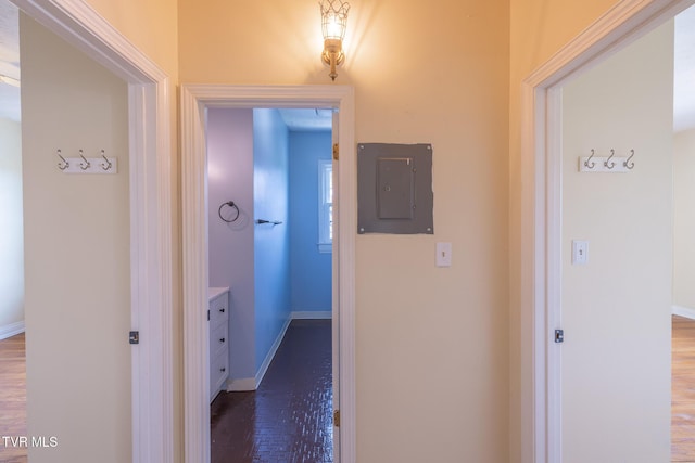 701 W Locust St Unit 34, Johnson City, TN 37604 - hall featuring electric panel and dark wood-type flooring