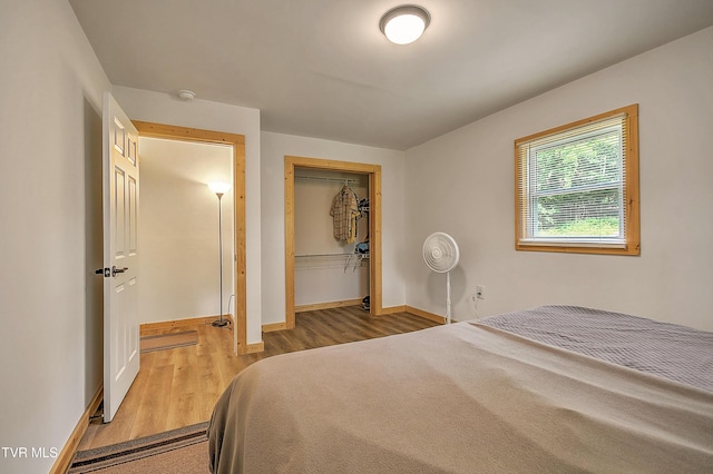 524 Boring Chapel Rd, Gray, TN 37615 - bedroom featuring wood finished floors and a closet