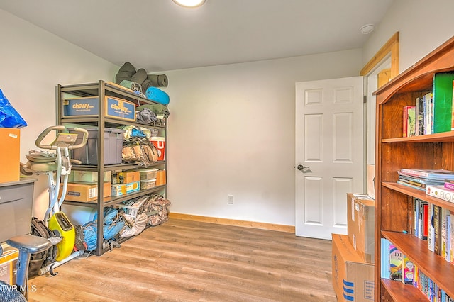 524 Boring Chapel Rd, Gray, TN 37615 - view of storage area