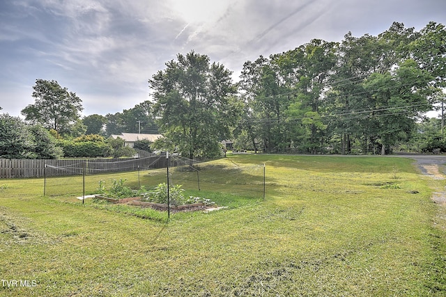 524 Boring Chapel Rd, Gray, TN 37615 - view of yard featuring a garden