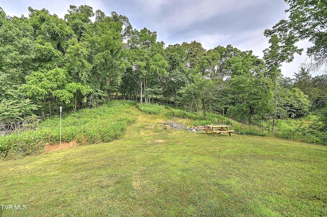 524 Boring Chapel Rd, Gray, TN 37615 - view of green lawn featuring a view of trees