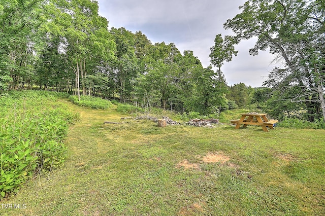 524 Boring Chapel Rd, Gray, TN 37615 - view of yard featuring a wooded view