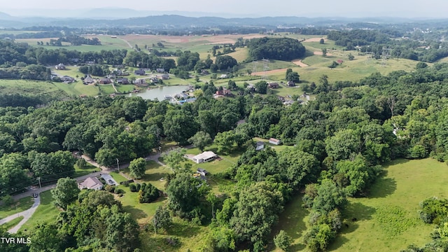 524 Boring Chapel Rd, Gray, TN 37615 - aerial overview of property's location