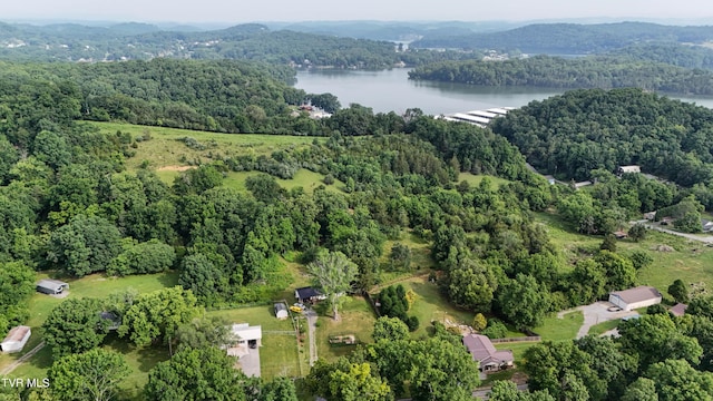 524 Boring Chapel Rd, Gray, TN 37615 - aerial view of property and surrounding area featuring a water and mountain view