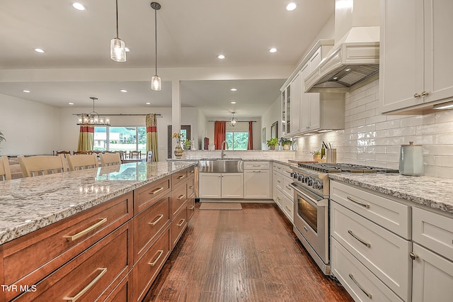 55 Farmstead Ln, Jonesborough, TN 37659 - kitchen with high end stove, custom exhaust hood, plenty of natural light, light stone countertops, and recessed lighting
