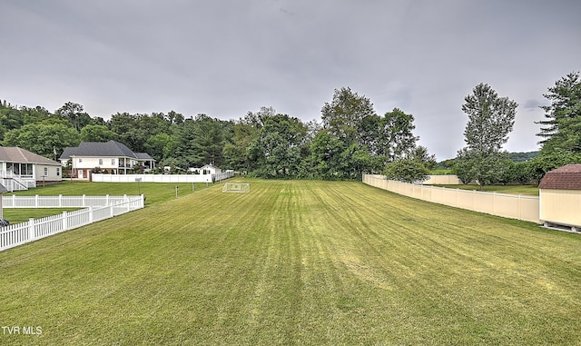 55 Farmstead Ln, Jonesborough, TN 37659 - view of yard