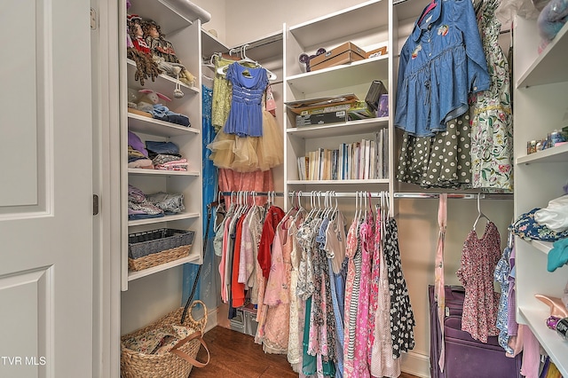 55 Farmstead Ln, Jonesborough, TN 37659 - spacious closet with wood finished floors