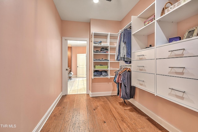 55 Farmstead Ln, Jonesborough, TN 37659 - spacious closet with light wood finished floors