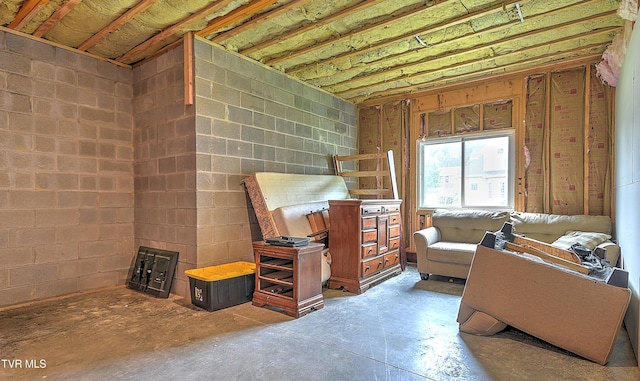 55 Farmstead Ln, Jonesborough, TN 37659 - miscellaneous room with unfinished concrete floors and concrete block wall