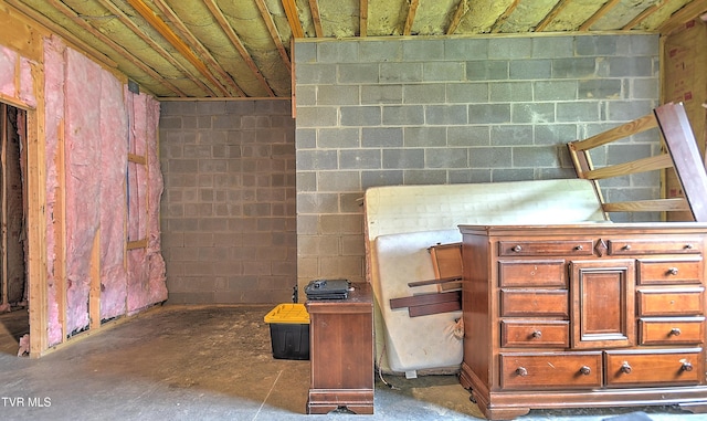 55 Farmstead Ln, Jonesborough, TN 37659 - basement with concrete block wall