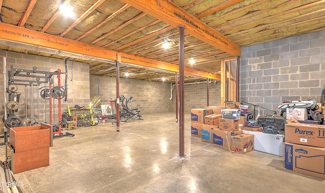55 Farmstead Ln, Jonesborough, TN 37659 - unfinished basement with concrete block wall