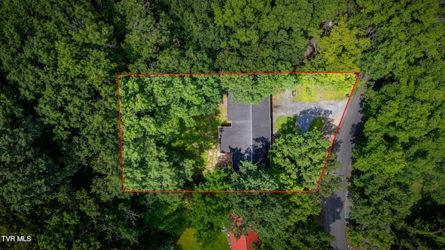3025 Shipley St, Kingsport, TN 37664 - view of property location featuring property boundaries highlighted