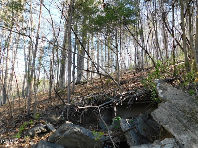 4400 Big Hill Rd, Pennington Gap, VA 24277 - photo 25