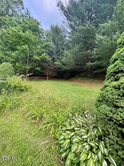 222 SW Azalea Dr, Wise, VA 24293 - view of yard with a wooded view