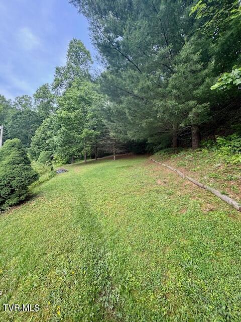 222 SW Azalea Dr, Wise, VA 24293 - view of green lawn featuring a wooded view